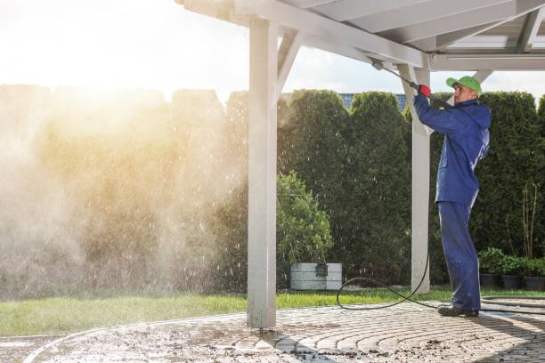 Best Soft Washing  in Refugio, TX